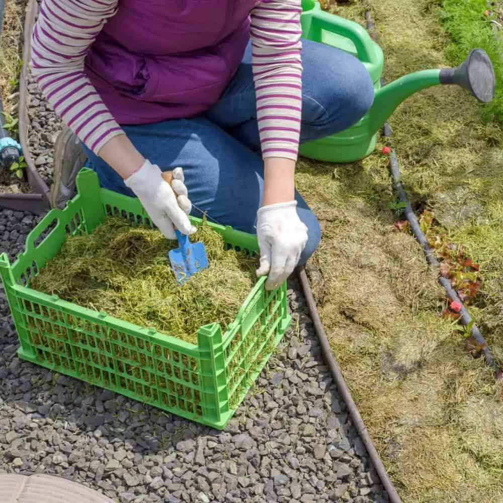 Landscaping Insurance New Jersey
